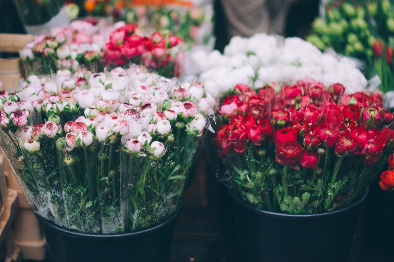 fleuriste-ESCRAGNOLLES-min_farmers-market-1209712